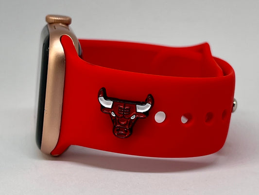 Chicago Bulls