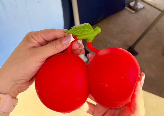 Large Cherry Squishy 🍒✨