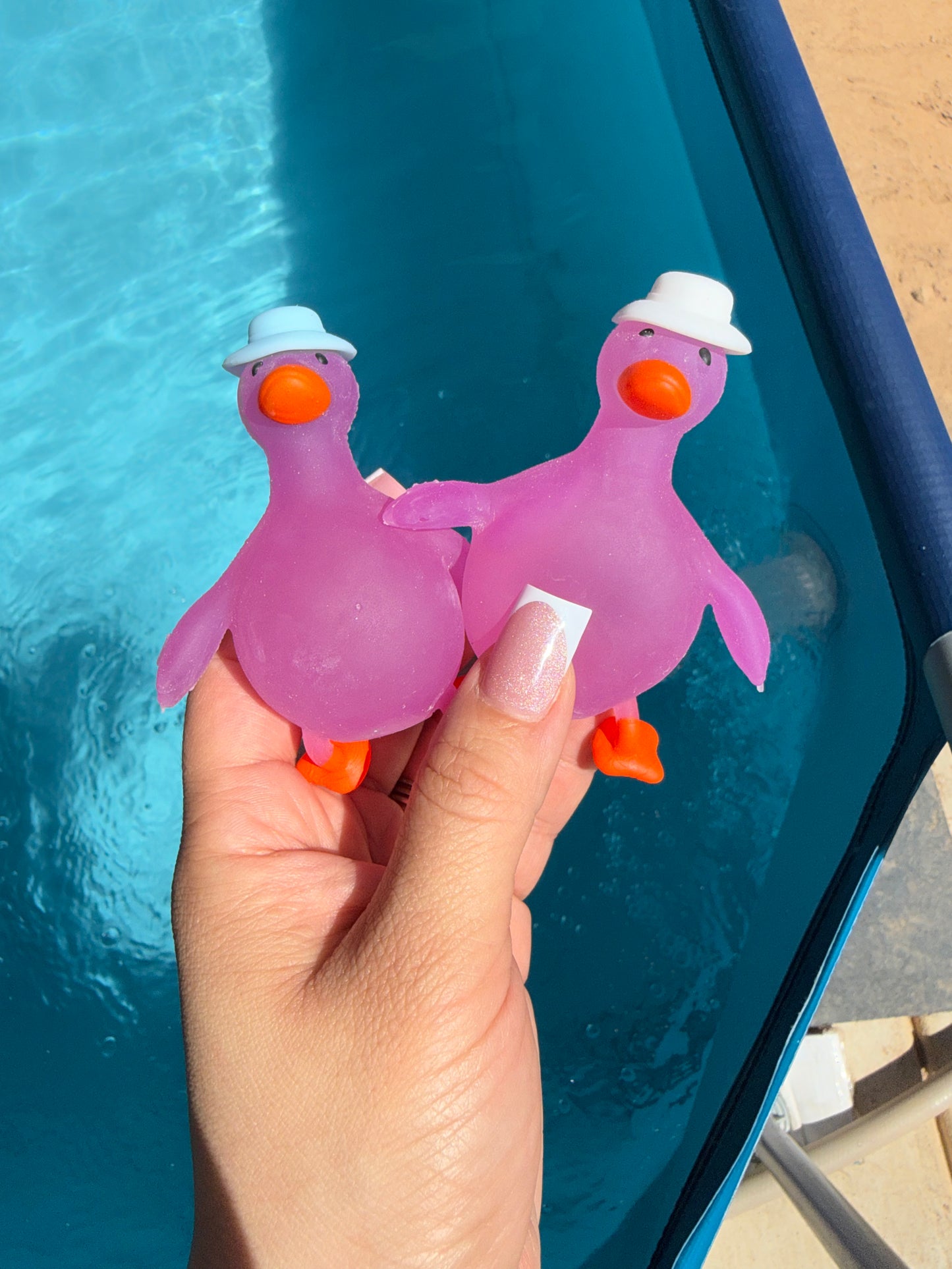 Sun Color-Changing Duck 🦆